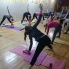 Joga Bor - Tim kreativnih ideja16