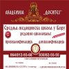 Srednja medicinska škola u Boru